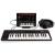 IK MULTIMEDIA IRIG KEYS 2